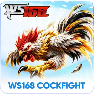 WS168 Cockfight - sảnh đá gà S8